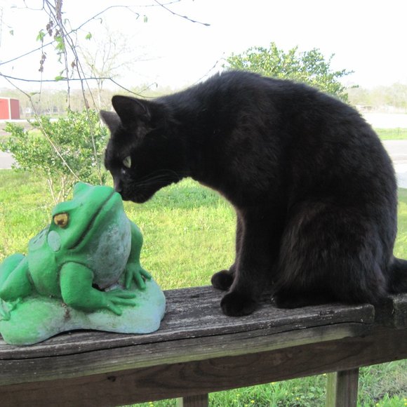 * Welcome to my Closet. Please Read! *  ~ Meet your Posher, Gina - Picture 4 of 16